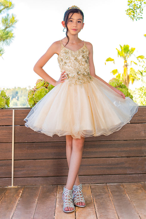 Girls Multi Color Illusion Sparkly Tulle Special Occasion Dress 4-16 - SophiasStyle.com