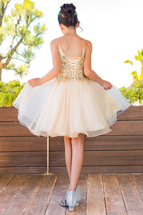 Girls Multi Color Illusion Sparkly Tulle Special Occasion Dress 4-16 - SophiasStyle.com