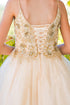 Girls Multi Color Illusion Sparkly Tulle Special Occasion Dress 4-16 - SophiasStyle.com