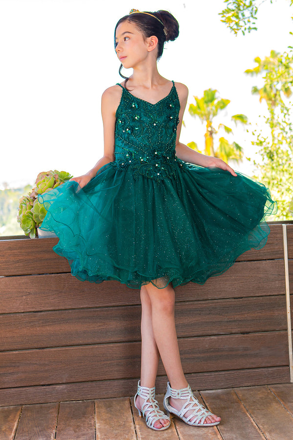 Girls Multi Color Illusion Sparkly Tulle Special Occasion Dress 4-16 - SophiasStyle.com