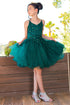 Girls Multi Color Illusion Sparkly Tulle Special Occasion Dress 4-16 - SophiasStyle.com