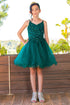 Girls Multi Color Illusion Sparkly Tulle Special Occasion Dress 4-16 - SophiasStyle.com
