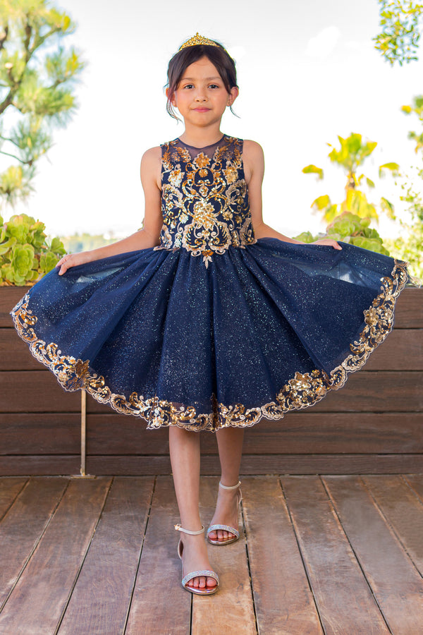 Girls Navy Illusion Two Tone Golden Lace Glittered Tulle Party Dress, Sizes 2-16 - SophiasStyle.com