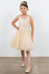 Girls Double Spaghetti Rhinestone Embroidered Gown, Sizes 4-16