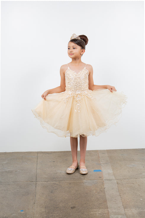 Big Girls Multi Color Double Spaghetti Rhinestone Embroidered Gown 4-16