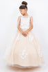 Girls Illusion Top 3D Flowers Sheer Sleeve Flower Girl Dress 2-16