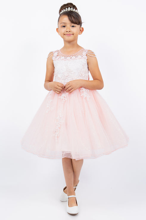Girls Illusion Neckline Jewel Strigs Flower Girl Dress 2-16