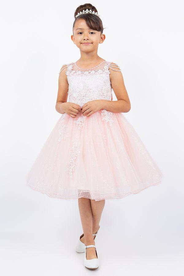 Girls Illusion Neckline Jewel Strigs Flower Girl Dress 2-16