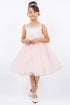 Girls Illusion Neckline Jewel Strigs Flower Girl Dress 2-16