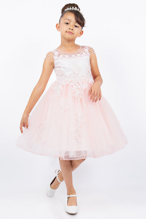 Girls Illusion Neckline Jewel Strigs Flower Girl Dress 2-16