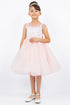 Girls Illusion Neckline Jewel Strigs Flower Girl Dress 2-16
