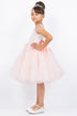 Girls Illusion Neckline Jewel Strigs Flower Girl Dress 2-16