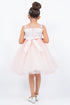Girls Illusion Neckline Jewel Strigs Flower Girl Dress 2-16