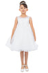 Girls Illusion Neckline Jewel Strigs Flower Girl Dress 2-16