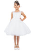 Girls Illusion Neckline Jewel Strigs Flower Girl Dress 2-16
