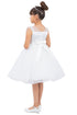 Girls Illusion Neckline Jewel Strigs Flower Girl Dress 2-16