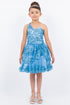 Girls One Shoulder Multi Layered Tulle Dress 4-16