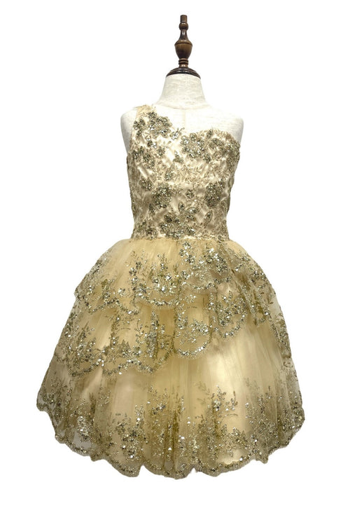 Girls One Shoulder Multi Layered Tulle Dress 4-16