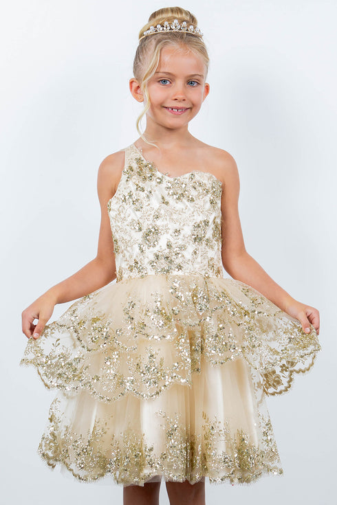 Girls One Shoulder Multi Layered Tulle Dress 4-16