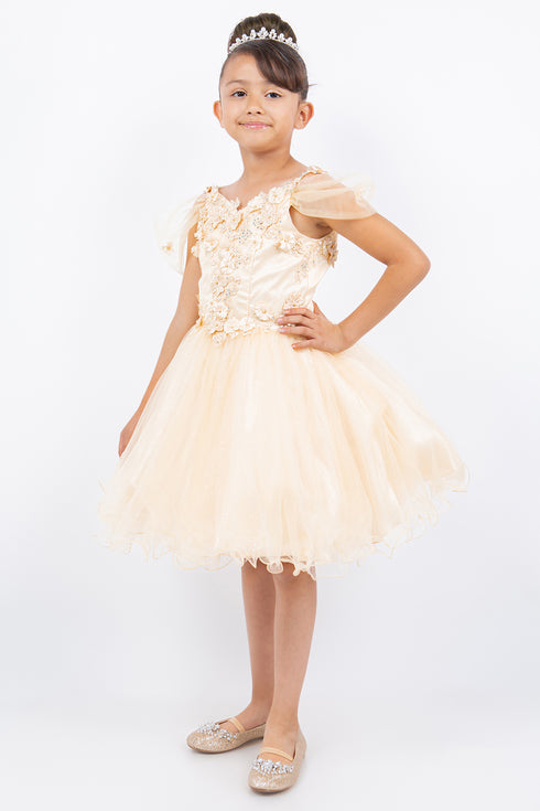 Girls 3D Flower Corset Body Flower Shoulder Strap Gown 4-16