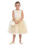 Girls Floral Lace Bodice with Tulle Skirt Dress, Sizes 2-10