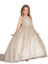Girls Sparkling Full Length Dress with Tail and Large Bow Accent 2-12