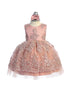 Baby Girls Metallic Lace Overlay Tulle Flower Girl Dress 6-24M