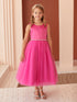 Girls Scoop Neckline Elegant Trim Special Occasion Dress, 2-18
