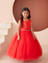 Girls Scoop Neckline Elegant Trim Special Occasion Dress, 2-18