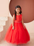 Girls Scoop Neckline Elegant Trim Special Occasion Dress, 2-18