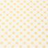 organic-collar-tee-shorts-set-dotty-gingham-makemake-organics-sophias-style-4