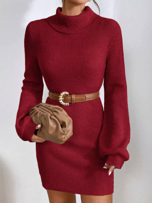 turtleneck-ribbed-knit-sweater-dress-OhSoStyled-Sophia's-Style-23