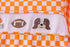orange-tennessee-puppy-bow-embroidery-checkered-top-abby-evie-sophias-style-3