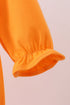 premium-orange-tennessee-puppy-applique-bubble-abby-evie-sophias-style-3