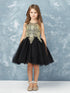 Big Girls Multi Color Gold Lace Wired Tulle Junior Bridesmaid Dress 8-18
