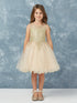 Big Girls Multi Color Gold Lace Wired Tulle Junior Bridesmaid Dress 8-18