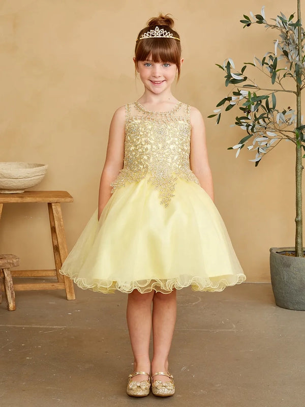 Baby Girls Multi Color Gold Lace Wired Tulle Flower Girl Dress 6-24M