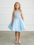 Girls Sparkle Princess Party Dress – Short Tulle Dress with Gemstone Details 2-18