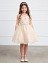 Girls Sparkle Princess Party Dress – Short Tulle Dress with Gemstone Details 2-18