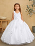 Girls 3D Flower Applique Glitter Mesh Special Occasion Dress 2-16
