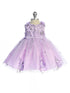 Baby Girls 3D Flower Applique Glitter Mesh Special Occasion Dress 6-24 Months