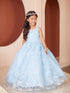 Princess Glitter Lace Ball Gown Dress, Sizes 2-16