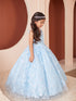 Princess Glitter Lace Ball Gown Dress, Sizes 2-16