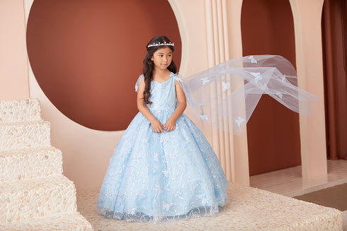 Princess Glitter Lace Ball Gown Dress, Sizes 2-16