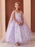 Princess Glitter Lace Ball Gown Dress, Sizes 2-16