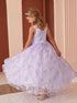 Princess Glitter Lace Ball Gown Dress, Sizes 2-16