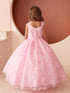 Princess Glitter Lace Ball Gown Dress, Sizes 2-16