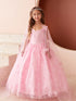 Princess Glitter Lace Ball Gown Dress, Sizes 2-16