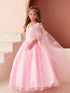 Princess Glitter Lace Ball Gown Dress, Sizes 2-16