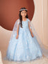 Princess Glitter Lace Ball Gown Dress, Sizes 2-16